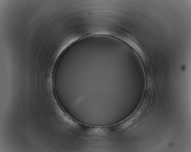 X0000102350806200808081153