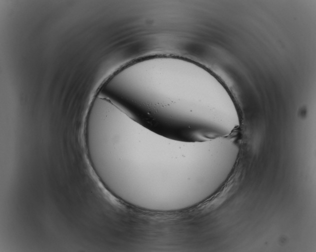 X0000102350807200808081153