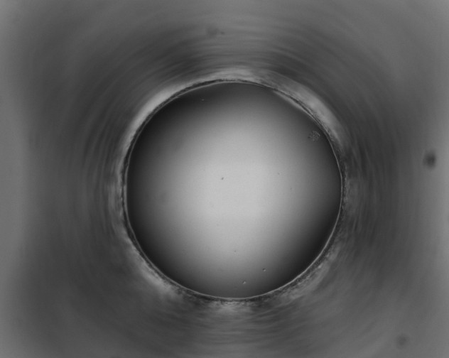 X0000102350808200808081153