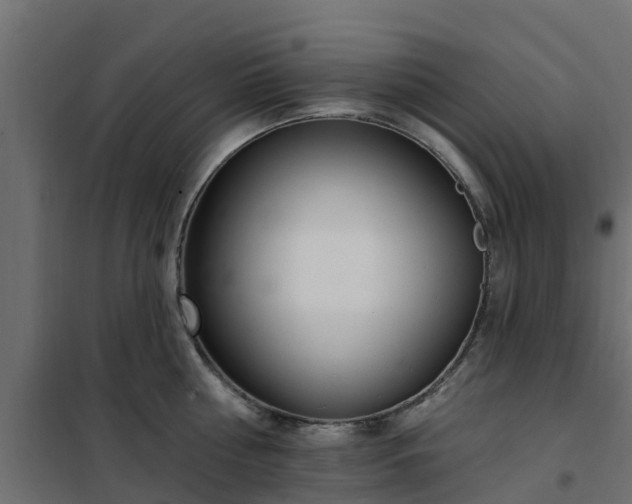 X0000102350810200808081153