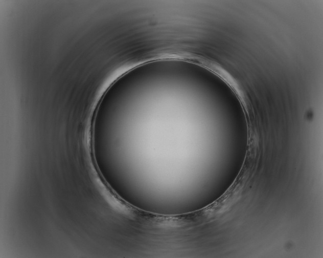 X0000102350811200808081153