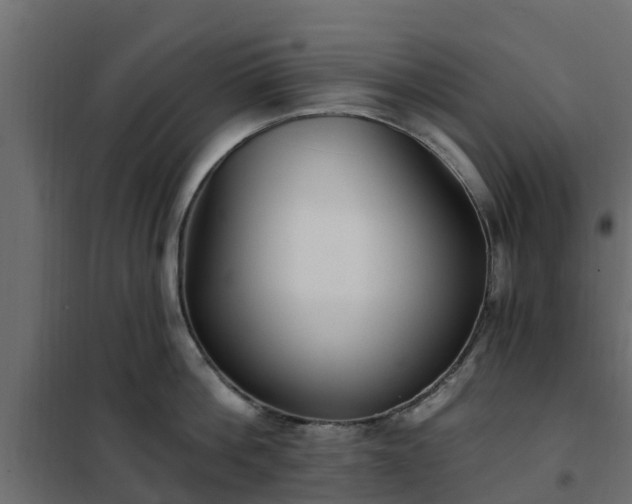 X0000102350812200808081153