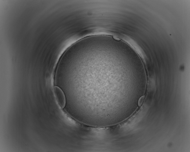 X0000102350813200808081153