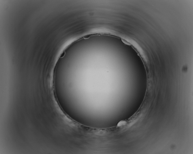 X0000102350815200808081153