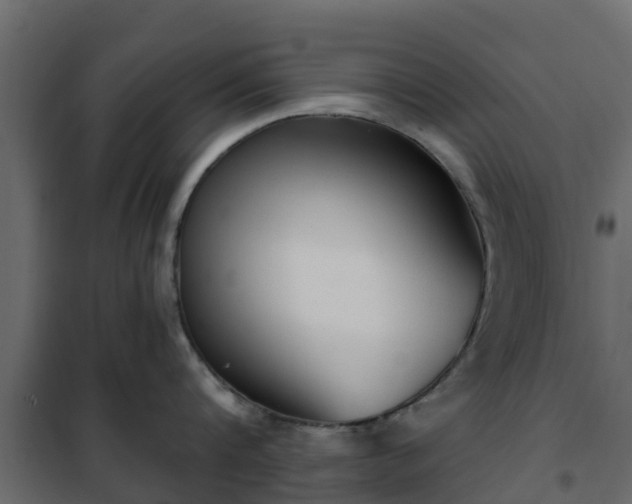 X0000102350816200808081153