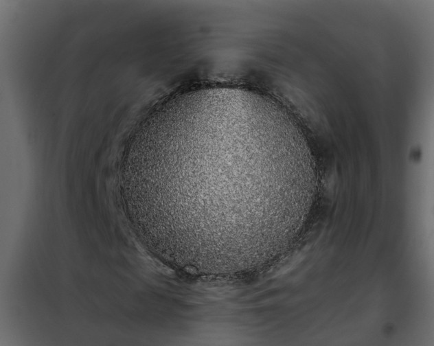 X0000102350817200808081152