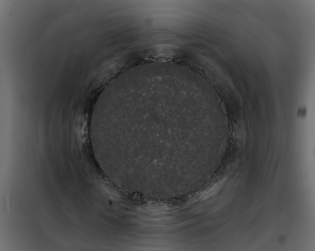 X0000102350818200808081152