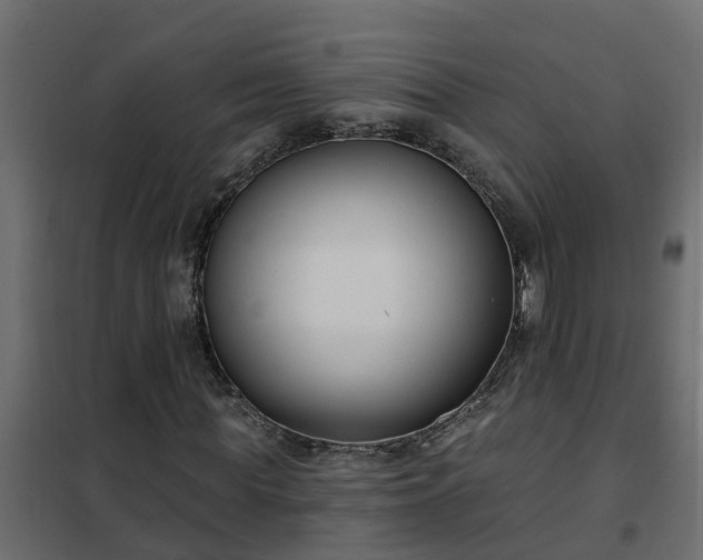 X0000102350819200808081152