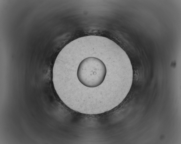 X0000102350820200808081152