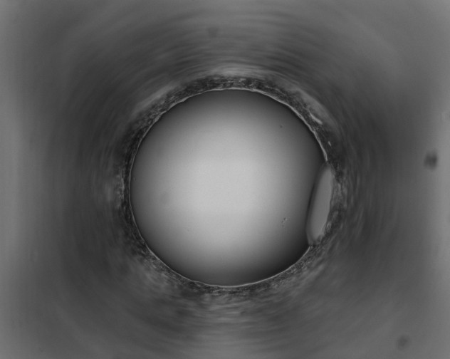 X0000102350821200808081152