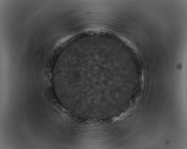 X0000102350822200808081152