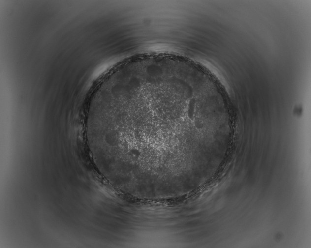 X0000102350823200808081152