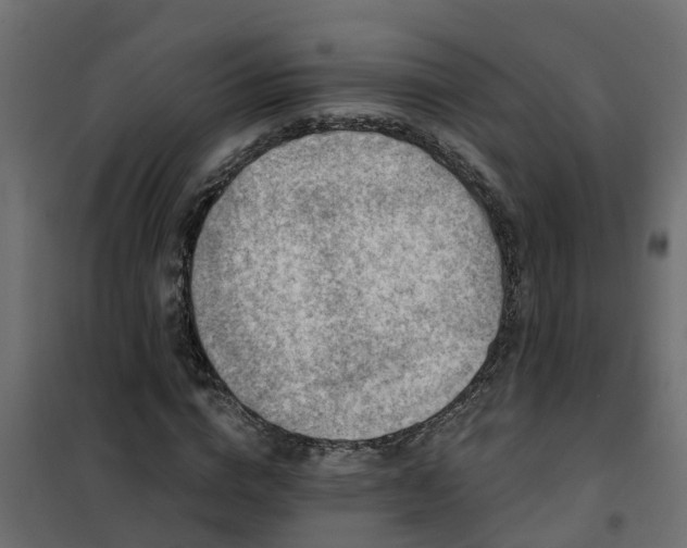 X0000102350824200808081152