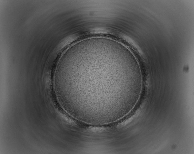 X0000102350825200808081152