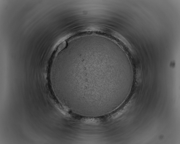 X0000102350826200808081152