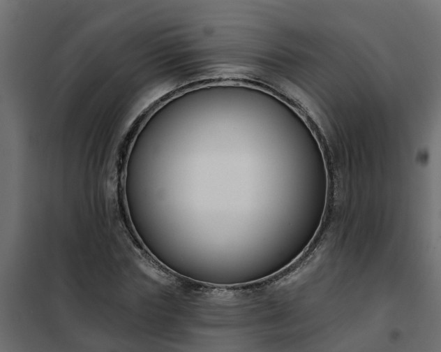 X0000102350827200808081152