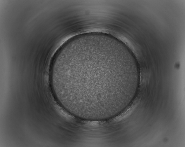 X0000102350828200808081152