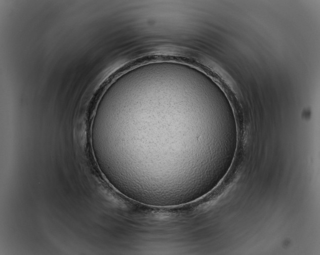 X0000102350829200808081152