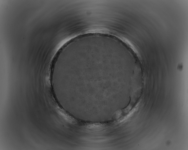 X0000102350830200808081152