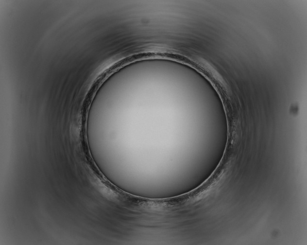 X0000102350831200808081152