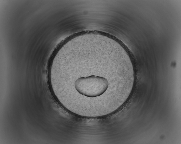 X0000102350832200808081152