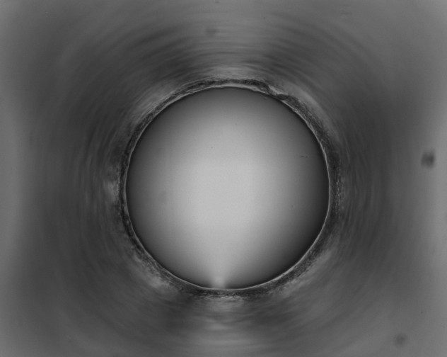 X0000102350833200808081152