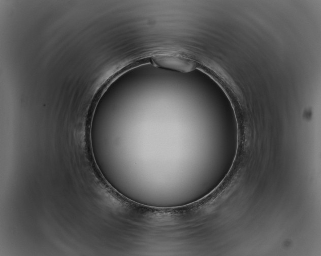 X0000102350834200808081152