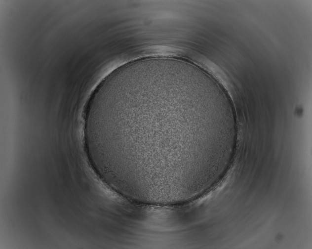 X0000102350835200808081152