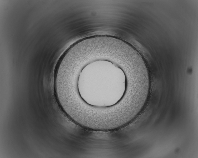 X0000102350836200808081152