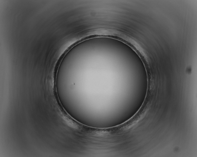 X0000102350837200808081152