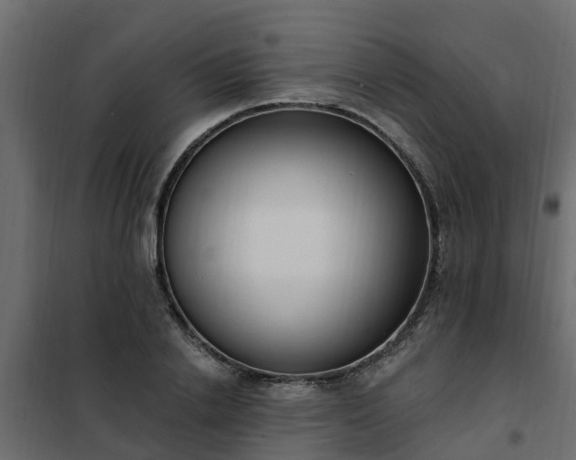 X0000102350838200808081152