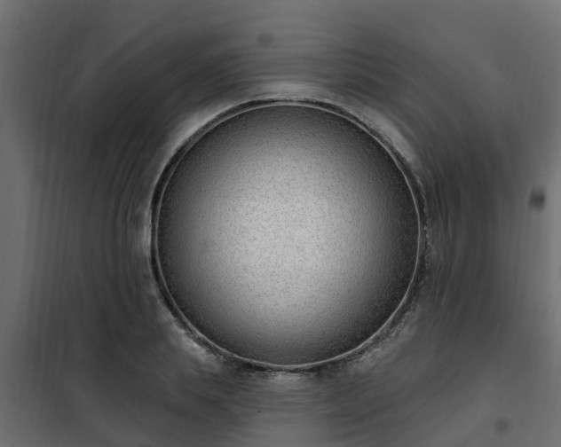 X0000102350839200808081152