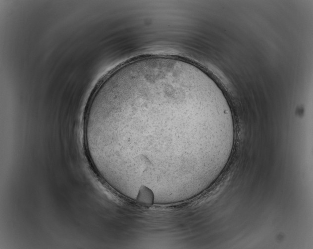 X0000102350840200808081152