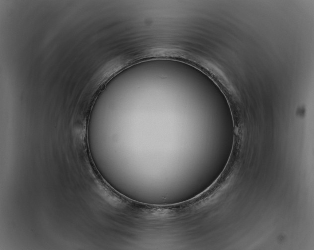 X0000102350841200808081152