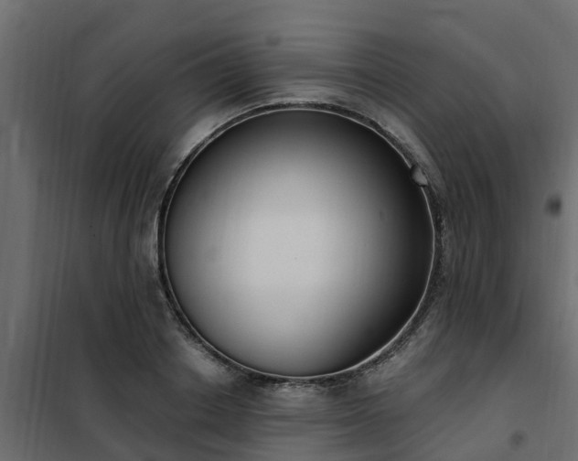 X0000102350842200808081152