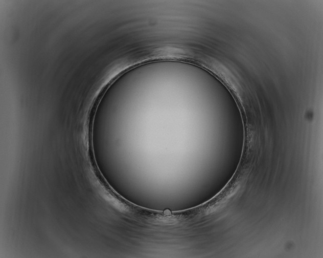 X0000102350843200808081152