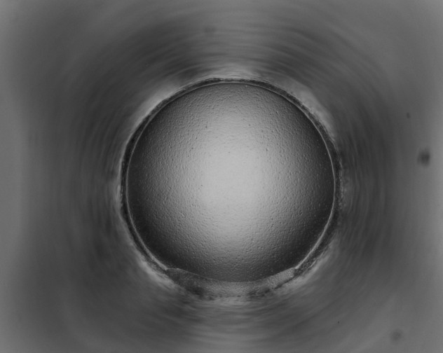 X0000102350845200808081152