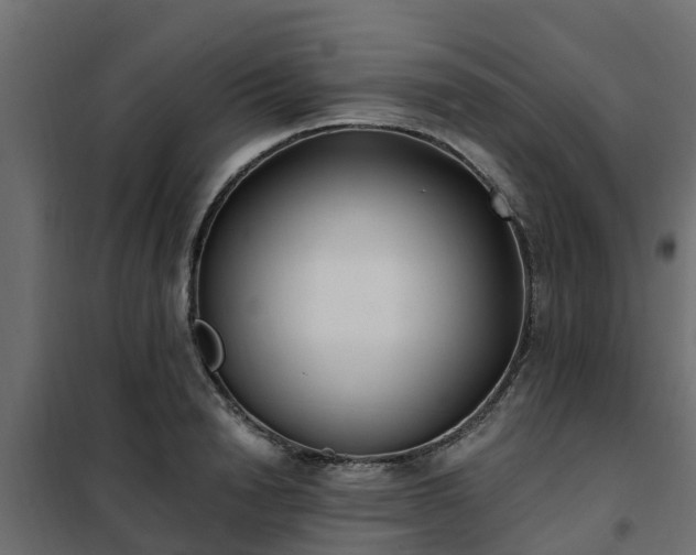 X0000102350846200808081152