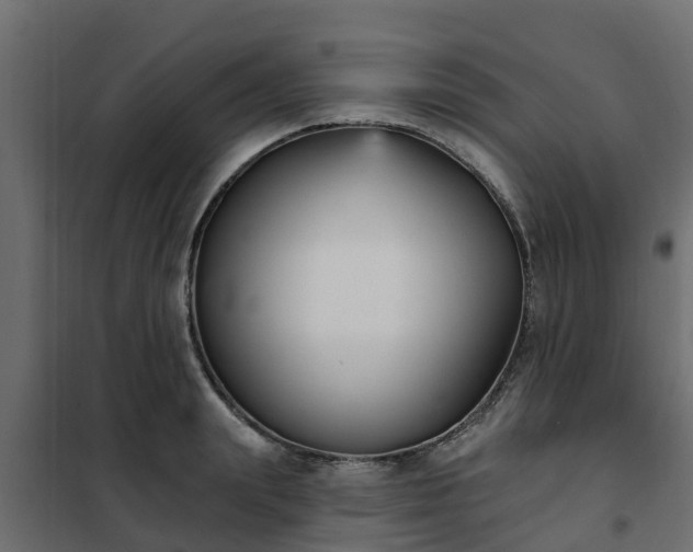 X0000102350847200808081153