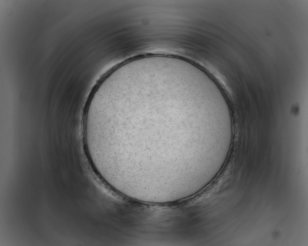 X0000102350848200808081153