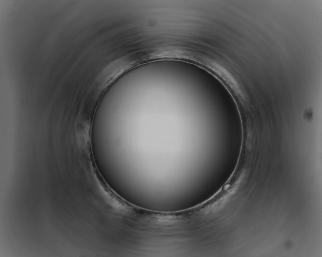 X0000102350849200808081153