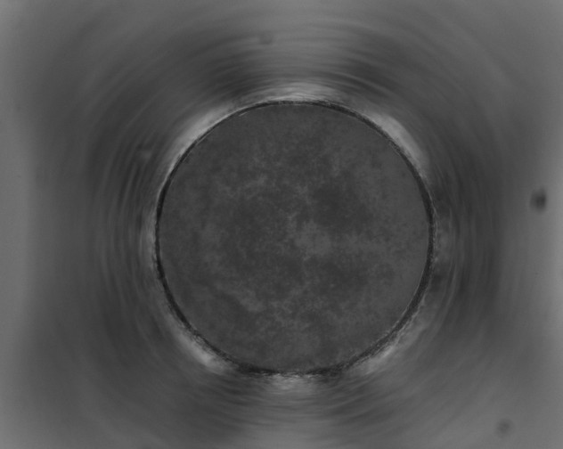 X0000102350850200808081153