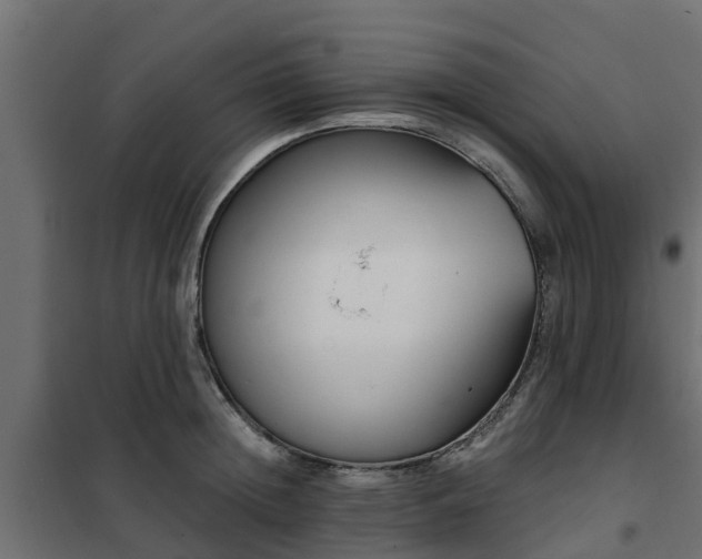 X0000102350852200808081153