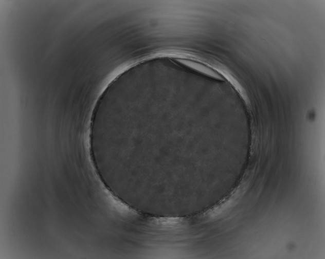 X0000102350853200808081153