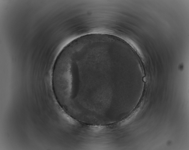 X0000102350854200808081153