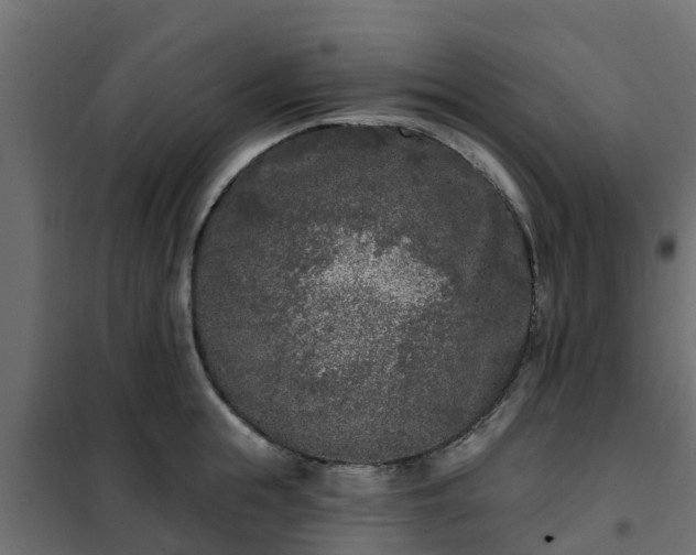 X0000102350855200808081153