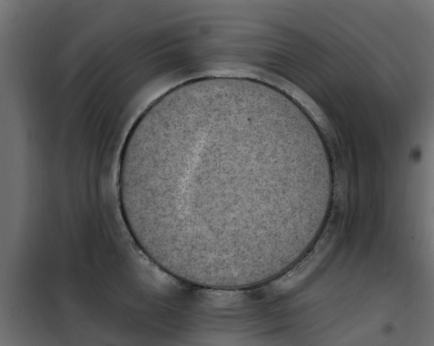 X0000102350856200808081153