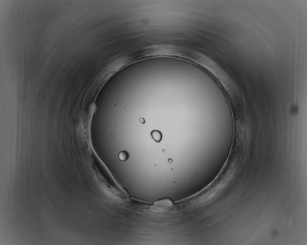 X0000102350857200808081153