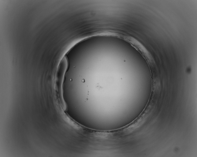 X0000102350860200808081153