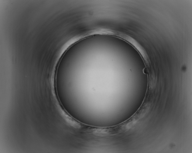 X0000102350861200808081153